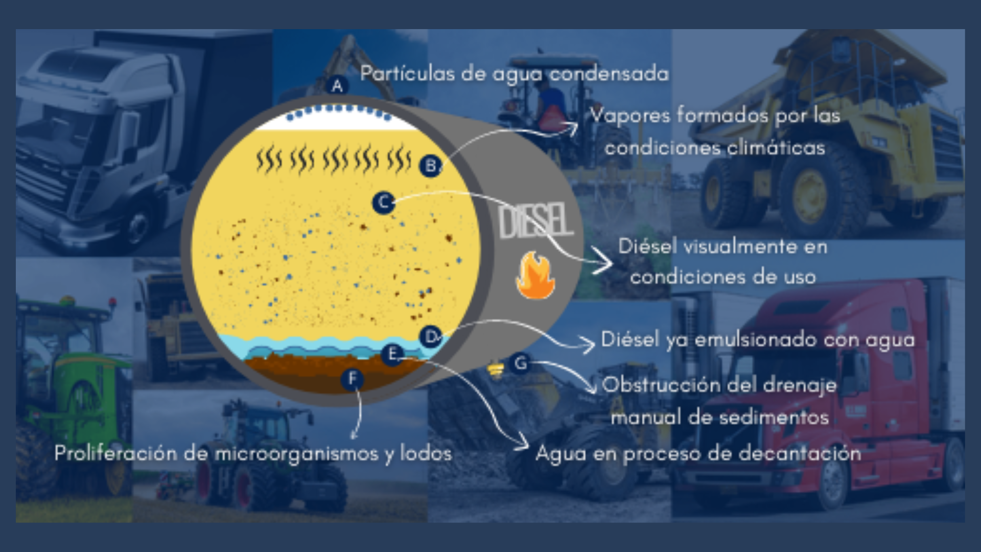 Blog Airfree  ¿Cómo usar un purificador de aire?